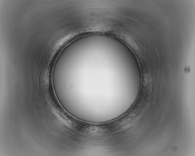 X0000094180632200710261132