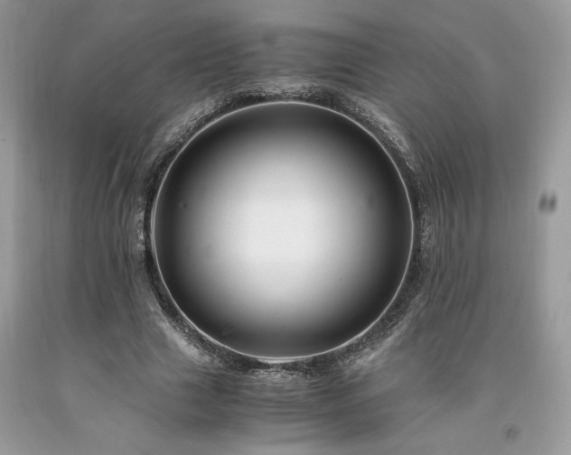 X0000094180633200710261132