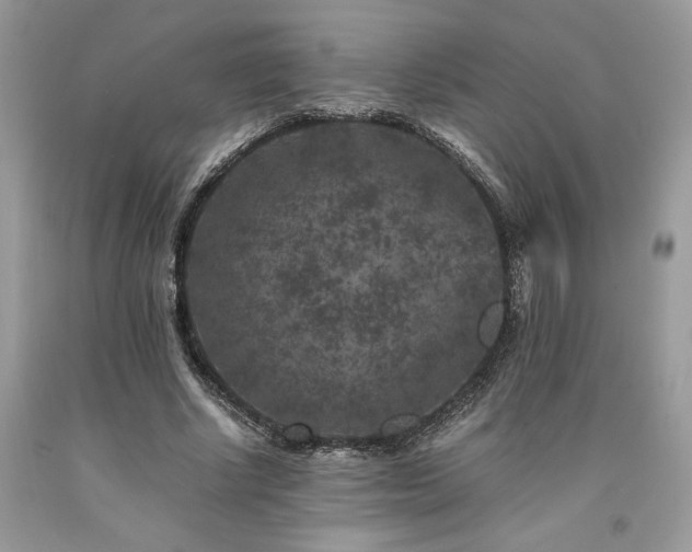 X0000094180634200710261132