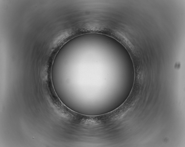 X0000094180635200710261132