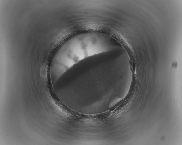 X0000094180637200710261132