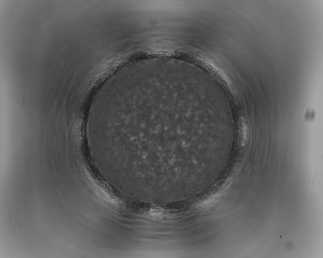 X0000094180641200710261132