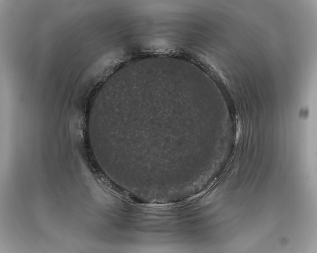 X0000094180643200710261132