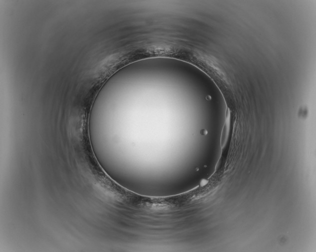 X0000094180645200710261132
