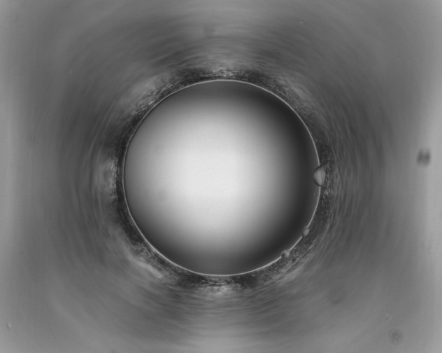 X0000094180646200710261132