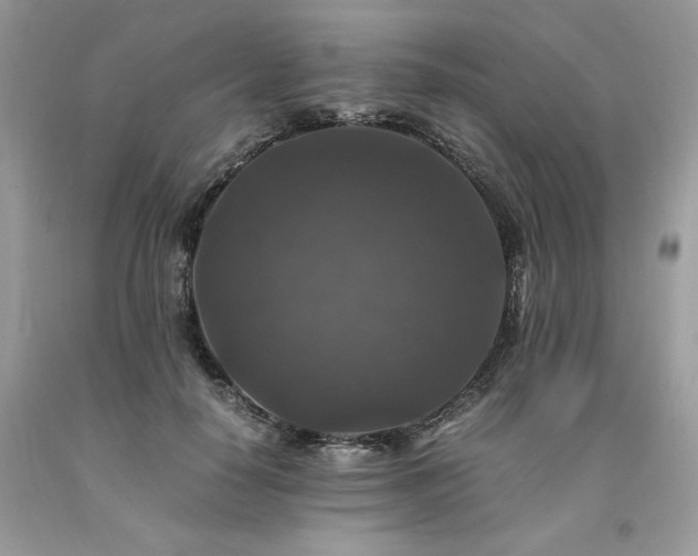 X0000094180650200710261132