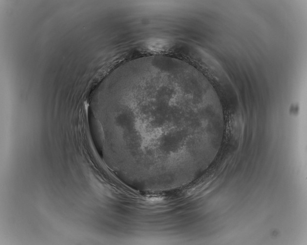X0000094180651200710261132