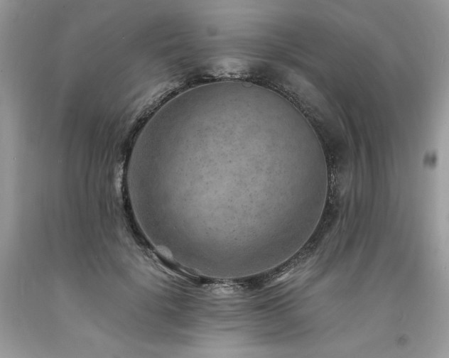 X0000094180652200710261132