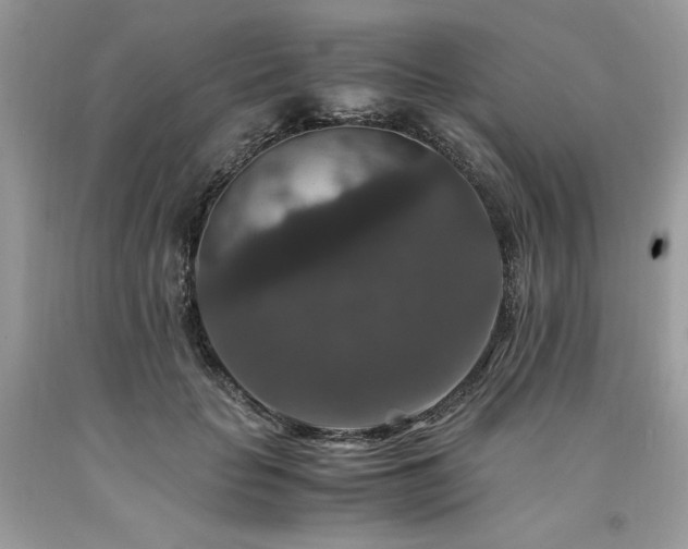 X0000094180653200710261132