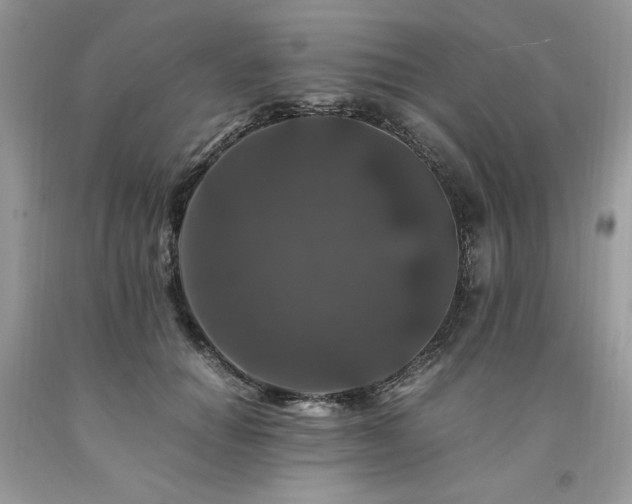 X0000094180654200710261132