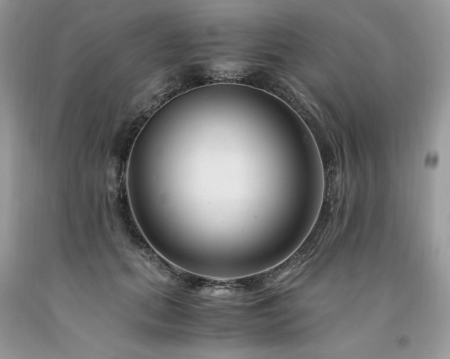 X0000094180655200710261132