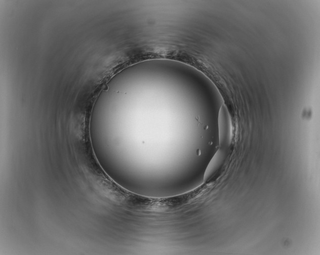 X0000094180656200710261132