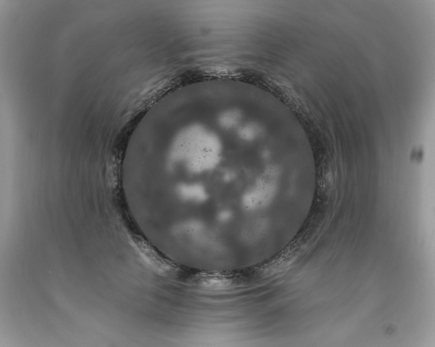 X0000094180658200710261132