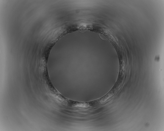 X0000094180659200710261132