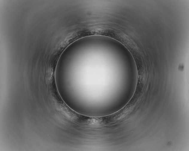 X0000094180660200710261132