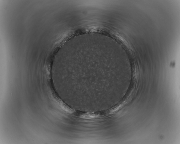 X0000094180661200710261132