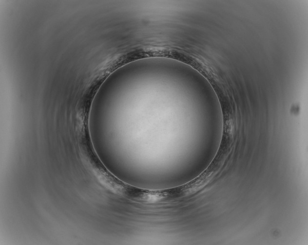 X0000094180662200710261133