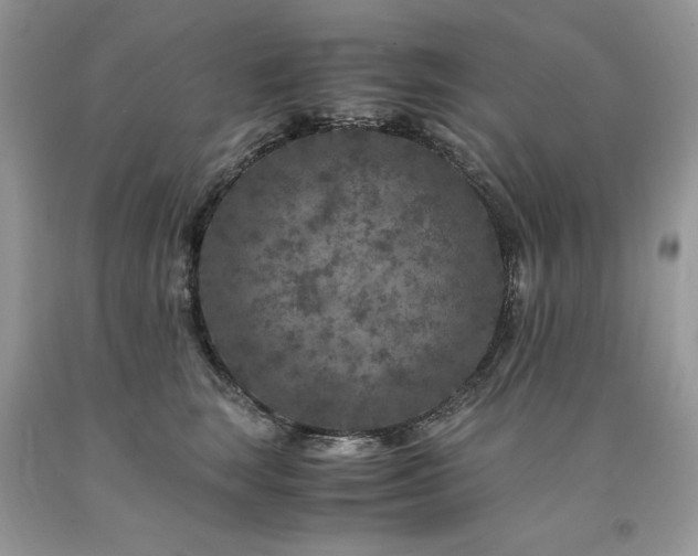 X0000094180663200710261133