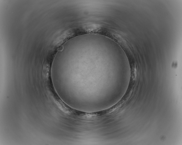 X0000094180664200710261133