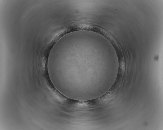 X0000094180668200710261133