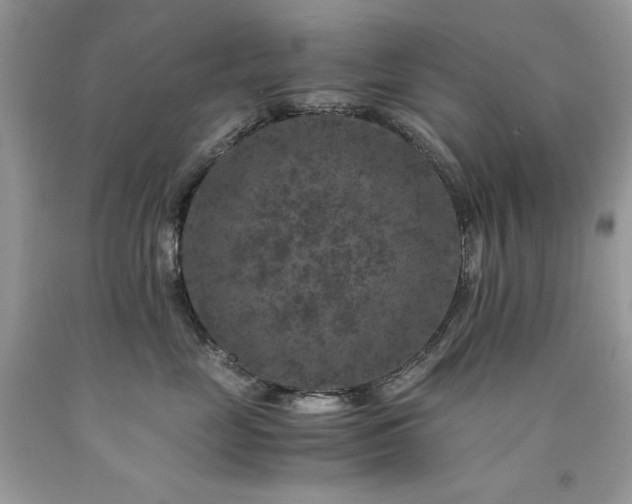 X0000094180669200710261133