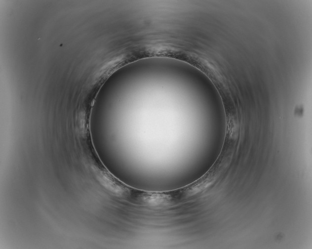 X0000094180670200710261133