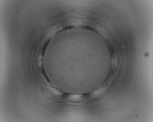 X0000094180671200710261133