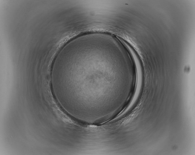 X0000094180673200710261132