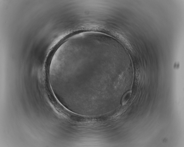 X0000094180674200710261132