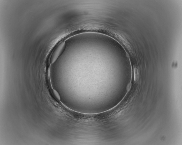 X0000094180675200710261132