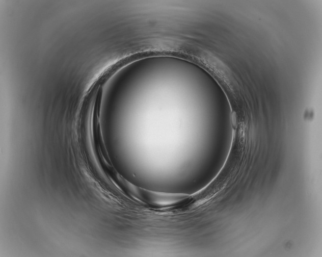 X0000094180676200710261132
