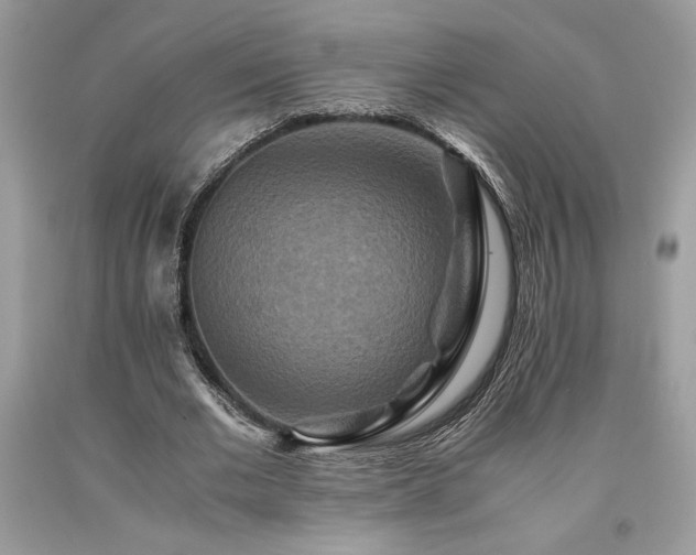 X0000094180677200710261132