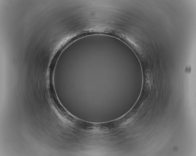 X0000094180678200710261132