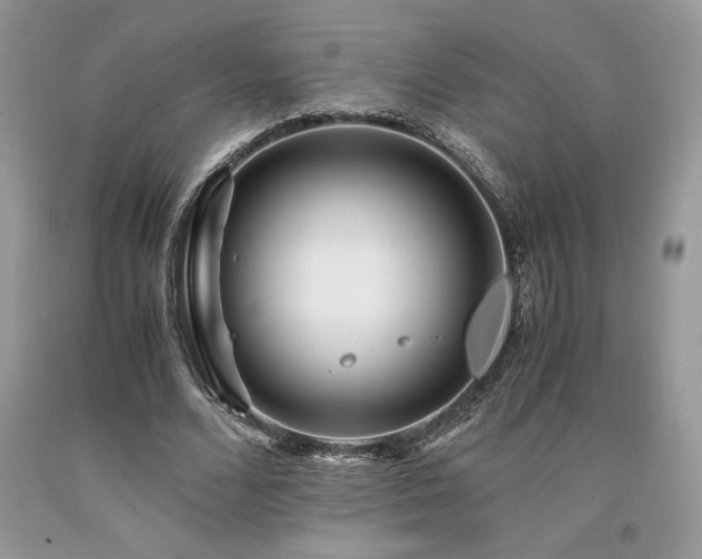 X0000094180680200710261132