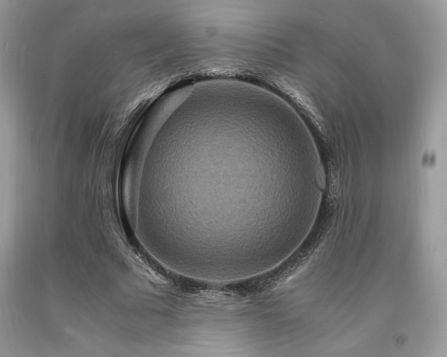 X0000094180681200710261132