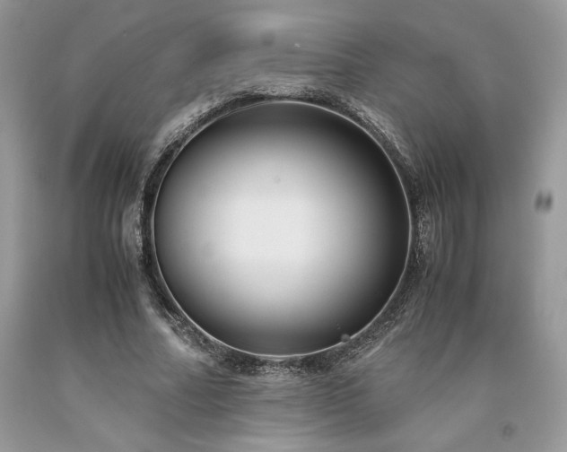 X0000094180682200710261132