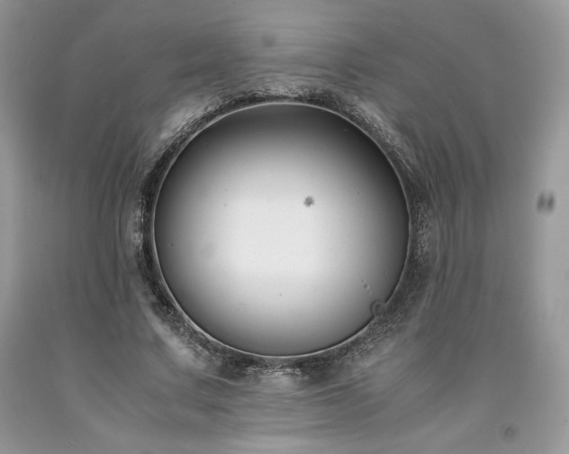 X0000094180683200710261132