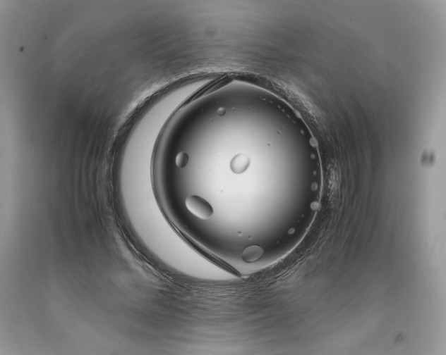X0000094180684200710261132