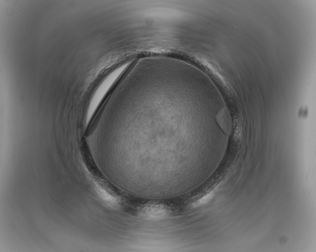 X0000094180685200710261132