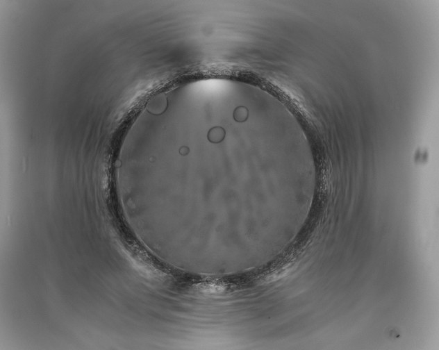 X0000094180687200710261132
