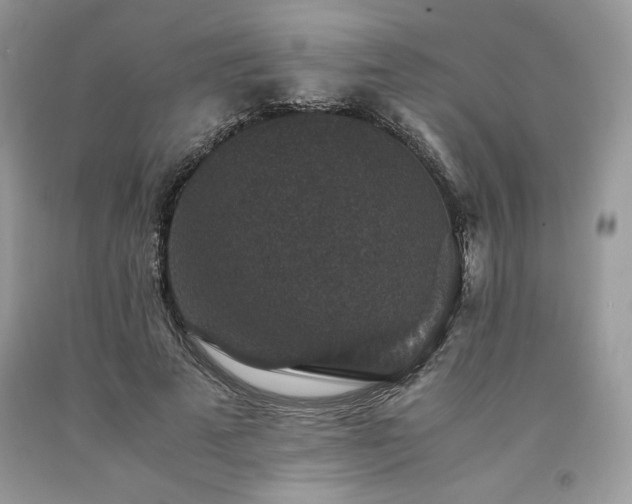 X0000094180689200710261132