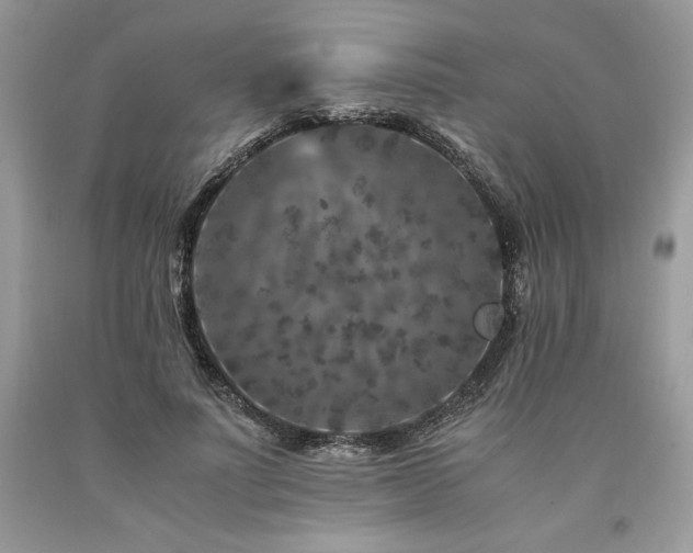 X0000094180691200710261132