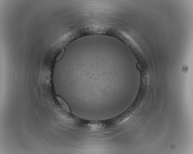 X0000094180693200710261132