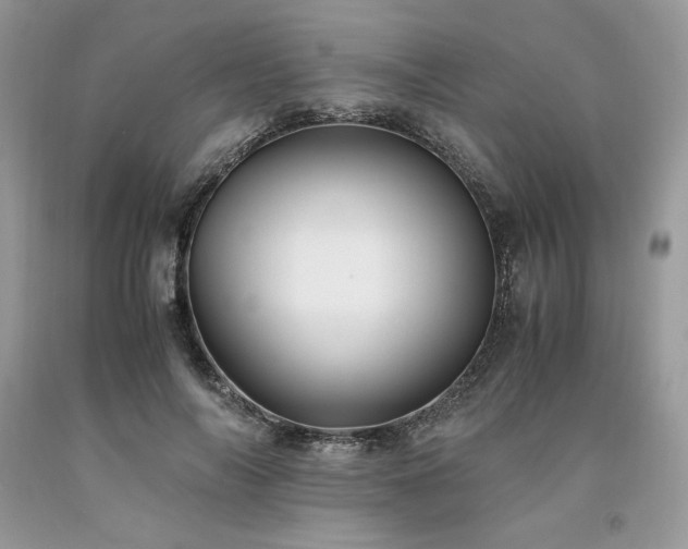 X0000094180694200710261132