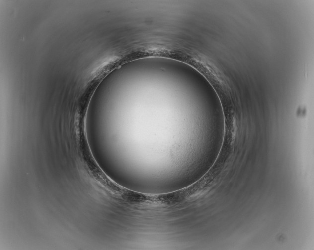 X0000094180696200710261132