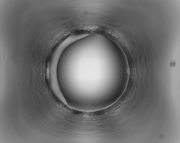 X0000094180697200710261132