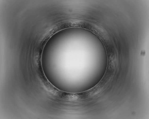 X0000094180698200710261132