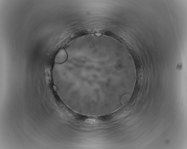 X0000094180699200710261132