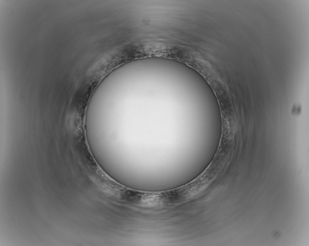 X0000094180705200710261132