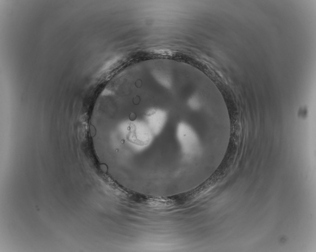X0000094180707200710261132